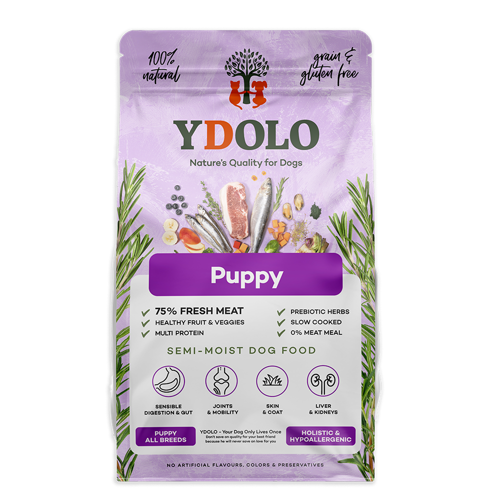 Ydolo puppy - hondenbrokken